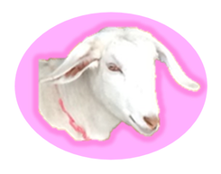 Sweet Valley Farm Logo